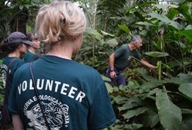 19+ Specials: Freiwilligeneinsätze für junge Erwachsene : Peru Naturschutz - Projektleiter Fernando stellt unseren Freiwilligen die Pflanzenarten des Amazonas - Regenwaldes vor.
