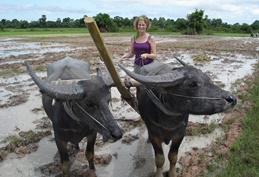 Projects Abroad Generation 50+ Specials : Kambodscha Im Töpferkurs lernen Freiwillige die traditionelle Herstellung von Keramik der Khmer - im Khmer - Projekt in Kambodscha.