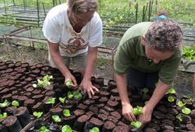 Projects Abroad Generation 50+ Specials : Ecuador In der Baumschule topfen unsere Freiwilligen Setzlinge für das Aufforstungsprogramm mit einheimischen Baumarten um.