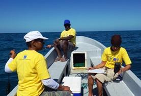 Projekte in der Karibik - Belize : Naturschutz Ein Freiwilliger sammelt Daten auf einem Survey-Tauchgang im Naturschutz -Projekt in Belize.