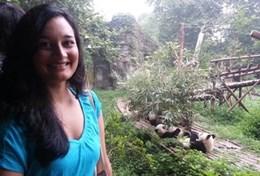 Projekte in Asien - China : Tierschutz Im Tierschutz - Projekt in China kannst du im Rahmen eines Freiwilligendienstes Pandas pflegen.