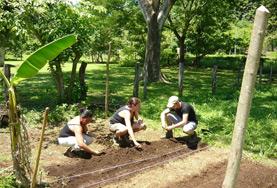 Projekte in Mittelamerika - Costa Rica : Naturschutz In Costa Rica erforschst du während deiner Freiwilligenarbeit die Fledermäuse auf nächtlichen Wanderungen und Höhlenexkursionen.