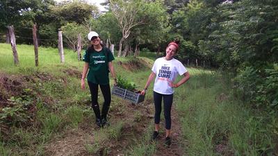 Zwei Freiwillige transportieren neue Setzlinge in der Baumschule Komm in deinen Schulferien nach Costa Rica und setze dich aktiv für den Umweltschutz und die Kinder vor Ort ein