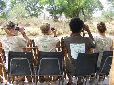 Eine Freiwillige im Naturschutz – Projekt in Südafrika Eine Freiwillige von Projects Abroad im Naturschutz – Projekt in Südafrika