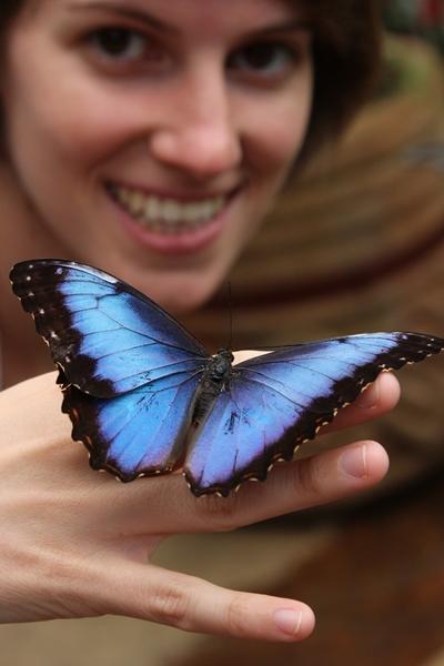 Eine Freiwillige hält einen Schmetterling auf ihrer Hand in Costa Rica Eine Freiwillige von Projects Abroad hält einen Schmetterling auf ihrer Hand