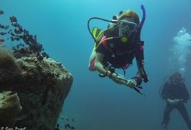 Naturschutz : Kambodscha Eine Freiwillige im Schulferien - Special macht auf einer Tauchstudie in den Gewässern vor Koh Sdach unter Wasser Notizen.