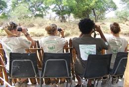 Freiwilligenarbeit in Afrika - Südafrika : Schulferien - Specials - Naturschutz Schüler/innen im Schulferien - Special Naturschutz beobachten eine Elefantenherde im Wild at Tuli - Reservat und sammeln ihre Beobachtungen für eine Wildtierstudie.