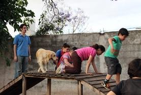 Sozialarbeit als Freiwilligendienst oder Praktikum im Ausland : Argentinien Gemeinsam mit dem Therapiehund überwinden die kleinen Patienten im Hundetherapie - Projekt in Argentinien ihre Höhenangst und gewinnen so mehr Selbstvertrauen.