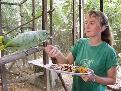FÖJ Alternative Ausland Eine Freiwillige bei der Vogelfütterung