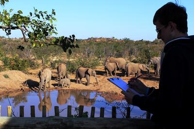 Elefantenbeobachtung im Wild at Tuli Reservat in Botswana Freiwilligenarbeit im Naturschutz – Projekt in Botswana